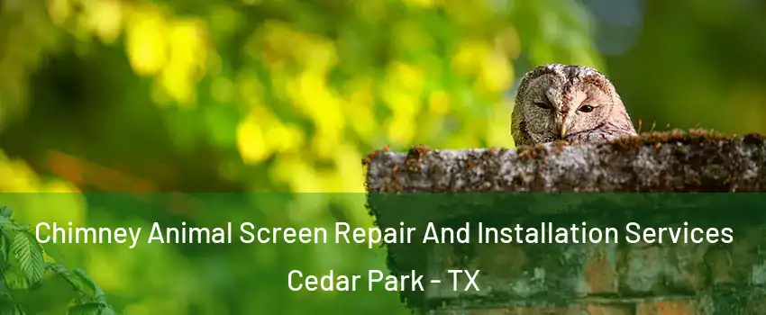  Chimney Animal Screen Repair And Installation Services Cedar Park - TX