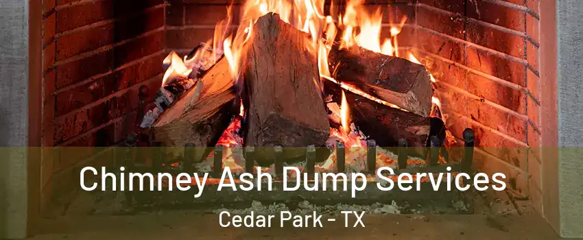  Chimney Ash Dump Services Cedar Park - TX