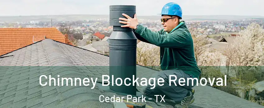  Chimney Blockage Removal Cedar Park - TX
