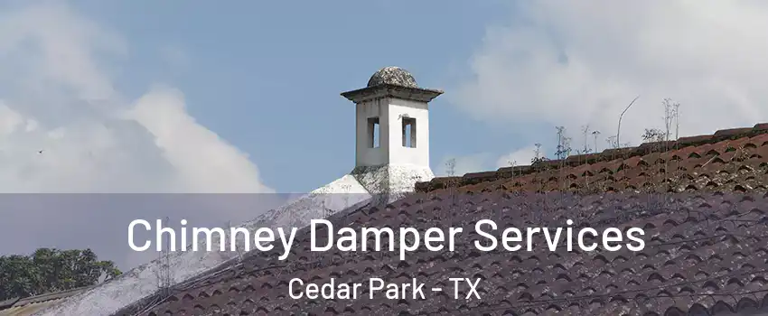  Chimney Damper Services Cedar Park - TX