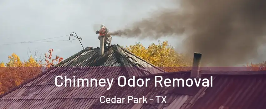  Chimney Odor Removal Cedar Park - TX