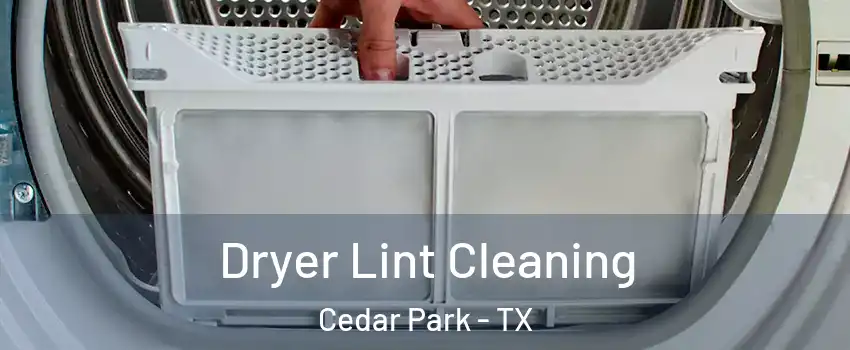  Dryer Lint Cleaning Cedar Park - TX