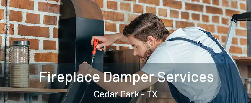  Fireplace Damper Services Cedar Park - TX
