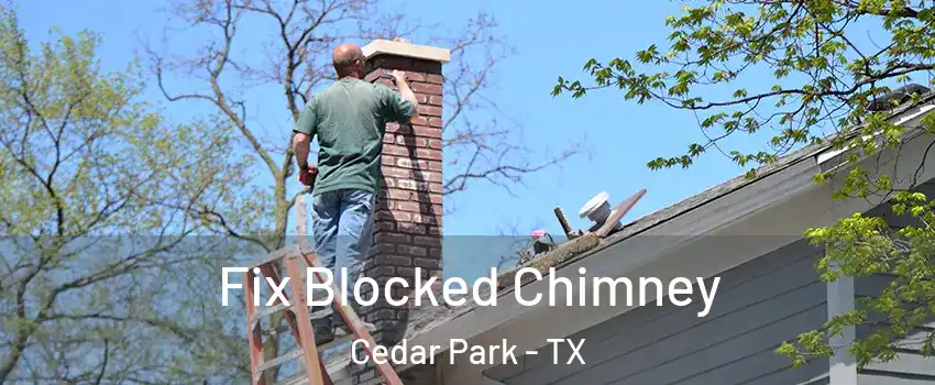  Fix Blocked Chimney Cedar Park - TX