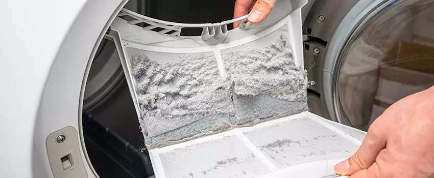 Best Dryer Lint Removal Company in Cedar Park, Texas
