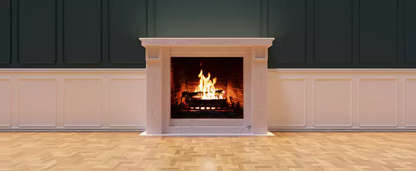 Napoleon Electric Fireplaces Inspection Service in Cedar Park, Texas