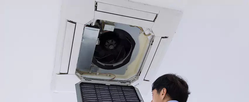 Benefits of Professional Air Duct Cleaning in Cedar Park, Texas