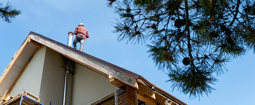 Birds Removal Contractors from Chimney in Cedar Park, TX