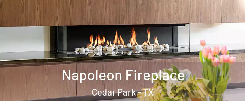  Napoleon Fireplace Cedar Park - TX